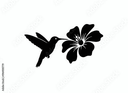 Hummingbird and Flower Silhouette: A delicate hummingbird, in perfect silhouette, gracefully hovers near a vibrant flower, its slender beak poised to sip nectar. A scene of quiet beauty.