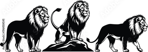 Collection of black lion silhouettes and majestic predator vector icons featuring male lions with manes standing on rocks for wildlife safari nature designs