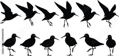 Large collection of sandpiper and shorebird vector silhouettes in various flying and standing poses, wading bird sequence isolated on white background for coastal nature design