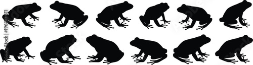 Frog silhouette collection featuring multiple jumping and sitting poses, black amphibian animal shapes isolated on white background, minimalist wildlife illustration set for design
