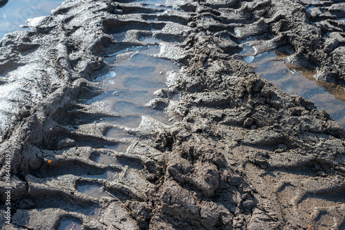 Obraz na plátne Deep muddy tire tracks with water puddles on dirt road, rough off-road terrain texture, wet soil background after rain, rural path detail, close-up of mud ruts in natural outdoor environment