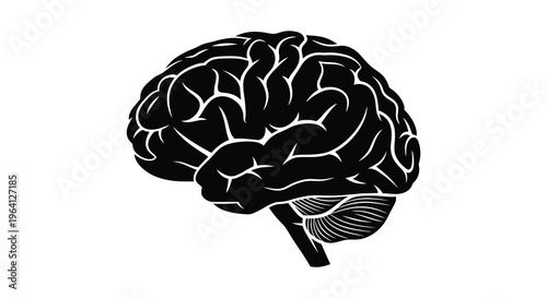 A detailed black silhouette depicts a human brain showcasing its complex folds and structures from a side view high quality professional