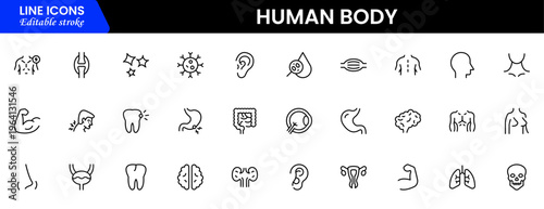 Human body icons depicting anatomy, organs, skeleton, muscles, health, biology, structure, systems, medical, education, science, physiology, and wellness.
