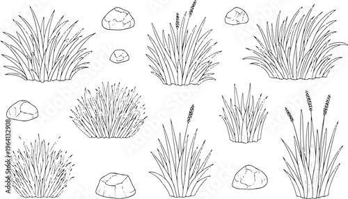 Hand-drawn Grass and Rock Illustration Set for Nature, Landscape, and Outdoor Designs