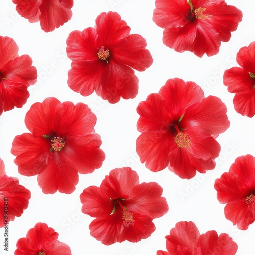 Bright Red Floral Pattern with Vibrant Hibiscus Flowers on a White Background for Stunning Visual Designs