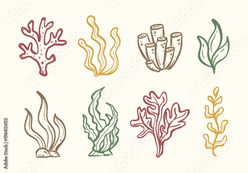Ocean plants hand drawn illustration set. Coral shapes doodle set. Aquarium seaweed doodle collection. Undersea plants line art sketch elements containing algae, kelp, seaweed, eelgrass, and more.