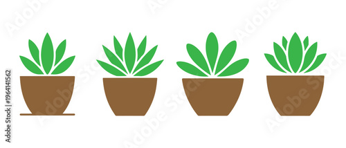 A collection of four stylized green succulent plants in simple brown pots on a white background.