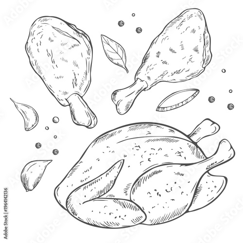 Parts of roast chicken meat. Engraving style image of chicken meat. Vintage image of organic food.