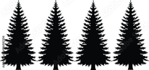 Black spruce tree silhouettes set isolated on white background for forest nature landscape design vector illustration spruce pine evergreen conifer timber woodland elements.