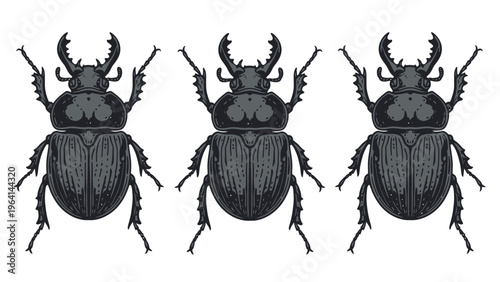 Three Black Stag Beetles Illustration. Detailed Insect Art Isolated on White Background.