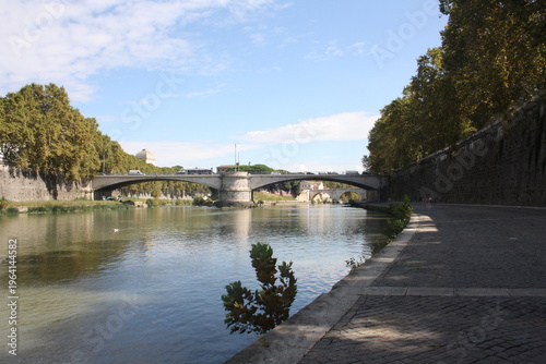 bridge over the river