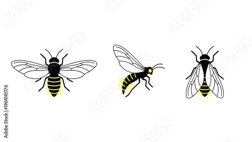 Glowing Fireflies Vector Set. Three bioluminescent lightning bugs illustrations on white background.
