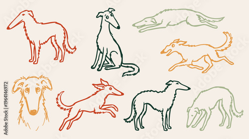 A collection of hand-drawn Borzoi dog illustrations in various dynamic poses, featuring a charming, rustic line art style for pet-themed designs