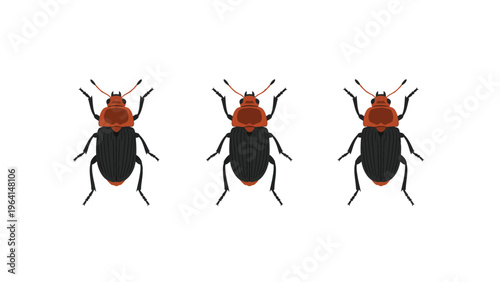 Three red and black beetle insect vector illustrations. Flat design icons isolated on white, for entomology or pest control.