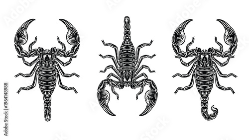 Vintage Engraved Scorpion Illustrations Set for Wildlife & Zodiac Designs