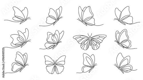 Collection of butterfly illustrations rendered in elegant continuous line art style showing various wing positions and flight angles.