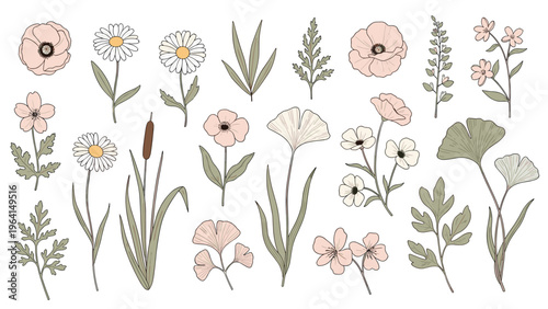 Assortment of hand-drawn botanical illustrations featuring various wildflowers, daisies, and leaves in soft pink and muted green tones.