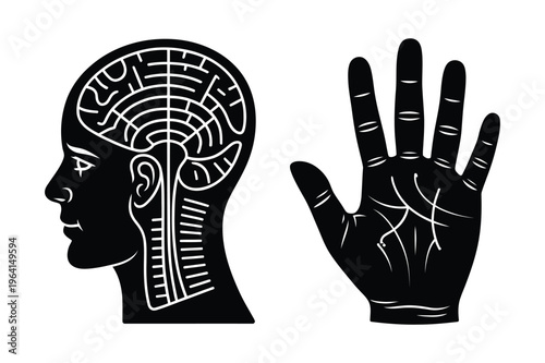 Human head anatomy and palmistry hand vector
