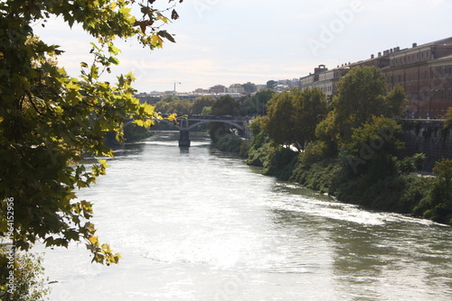 bridge over the river