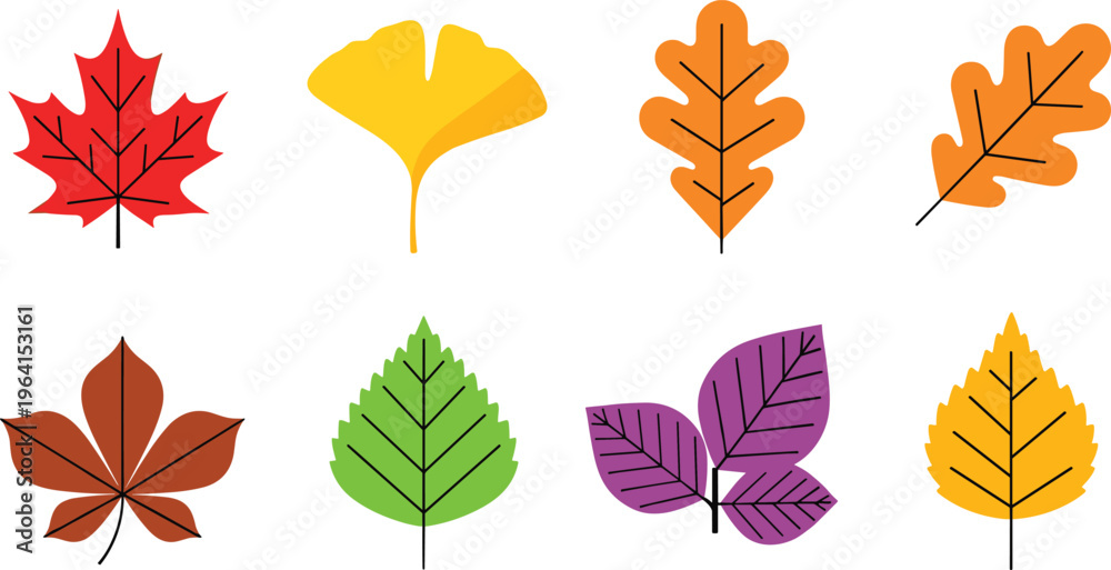 Obraz premium Autumn Leaf Collection Featuring Maple, Ginkgo, Oak, and Fall Foliage for Seasonal and Nature Illustrations
