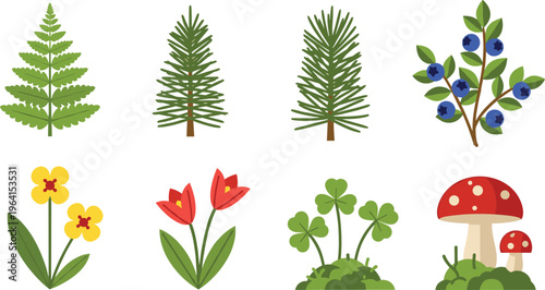Forest Plant Collection Featuring Ferns, Pine Trees, Blueberries, Mushrooms, and Wildflowers for Nature and Woodland Illustrations