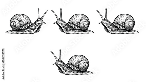 Four Hand-Drawn Snails Set in Detailed Engraving Style. Monochrome Mollusks Collection with Shells and Antennae.