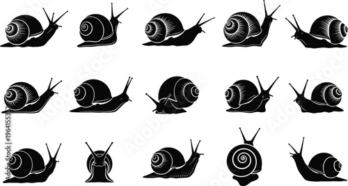 Black snail silhouette set with various garden gastropod poses isolated on white background for nature design elements and biological wildlife animal vector illustration
