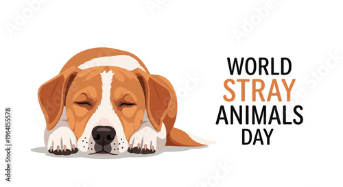 Illustration of a sleeping brown and white dog for World Stray Animals Day awareness campaign with text on a white background.