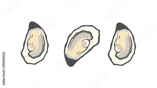 Hand-drawn Oysters Set - Fresh Seafood Mollusk Illustration on White Background