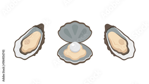 Oyster with Pearl and Closed Shells Vector Set. Seafood, Ocean Delicacy, and Jewelry Concept.