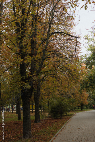 Autumn Park
