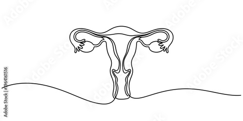 A minimalist single line drawing of the female reproductive system isolated on a white background.