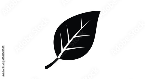 A minimalist black and white illustration depicts a single leaf with prominent veins showcasing natural simplicity high quality professional detailed modern
