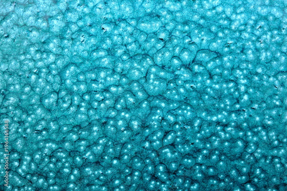 Obraz premium Teal Turquoise Bubbly Organic Surface Texture, Vibrant Macro Bac