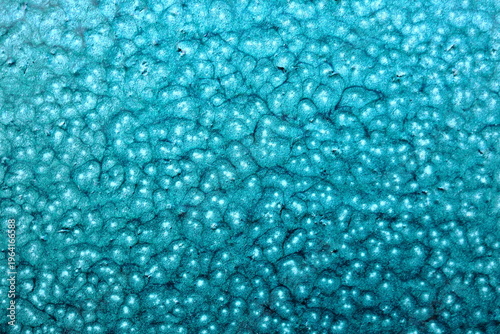 Teal Turquoise Bubbly Organic Surface Texture, Vibrant Macro Bac