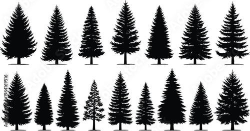 Black Pine Trees Silhouettes on White Background