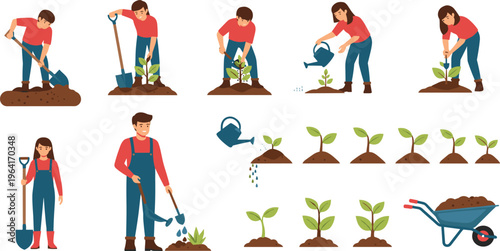 Gardening Process Set Showing Planting, Watering, Growing Stages, and Garden Tools in Outdoor Farming Activities