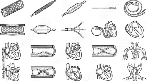 A collection of medical illustrations depicts intricate details of cardiovascular health, showcasing various aspects of the circulatory system. 
