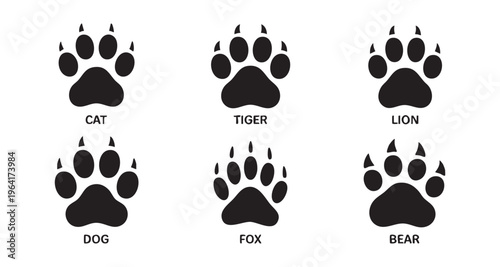 Set of wild animals paws isolated on white background, different footprints cat tiger lion dog fox bear