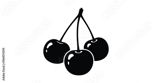 Three ripe cherries hang from a stem a dark silhouette