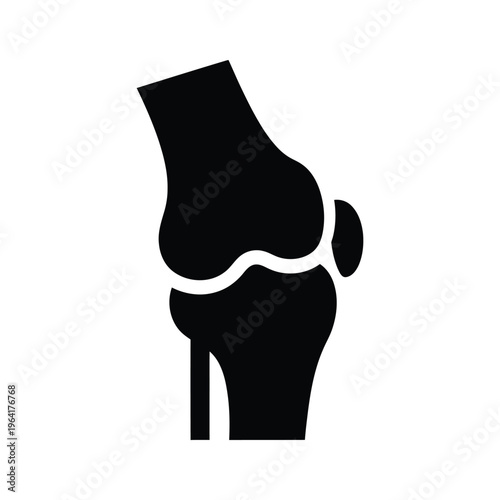Knee Joint Anatomy Illustration Commercial