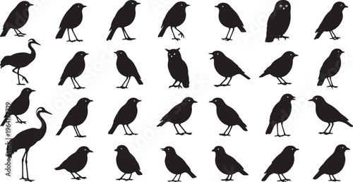24 bird silhouettes in alert stances flat design vector illustration