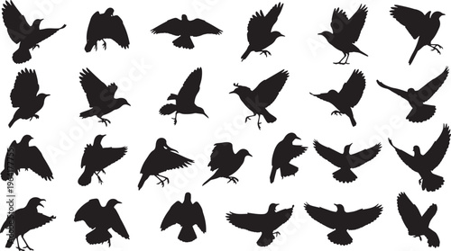 flock of flying birds in various poses vector illustration