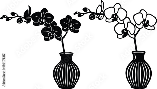 Black silhouette of orchid flowers in vases on transparent background