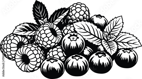 Fresh wild berries and mint leaves vector illustration