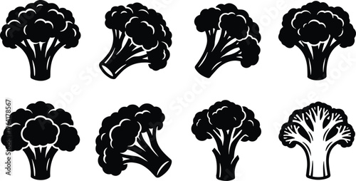 Set of broccoli florets and heads vector illustrations on transparent background