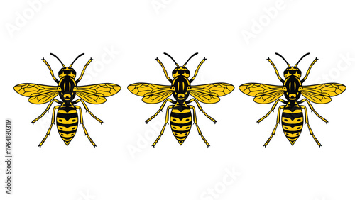 Three Yellow and Black Striped Wasps Illustration