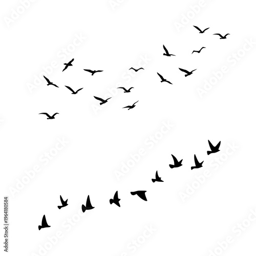 Bird flock flying in classic V formation isolated on white background. Perfect for migration, teamwork and leadership concept designs.