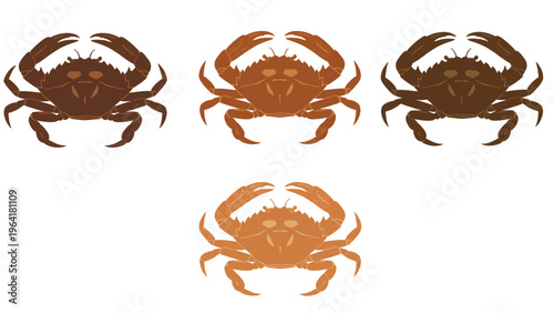 Set of four stylized crab illustrations in brown and orange tones. Marine life icons.