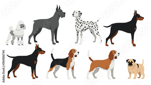 Diverse collection of various dog breeds in different sizes and appearances, including poodles, Great Danes, Dalmatians, Dobermans, Beagles, and Pugs.